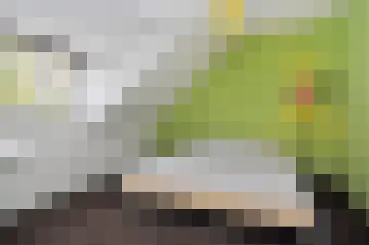 Dignaland 23 Den Haag thumbnail 17