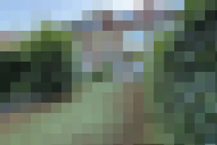 Dignaland 23 Den Haag thumbnail 22