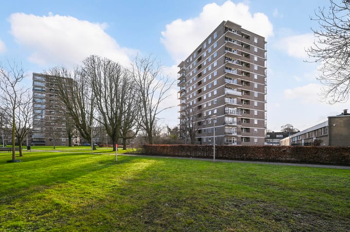 Dignaland 6 in 's-Gravenhage