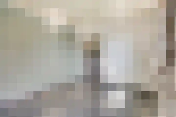 Dijk 18 Grevenbicht thumbnail 13
