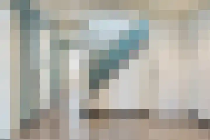 Dijk 18 Grevenbicht thumbnail 20