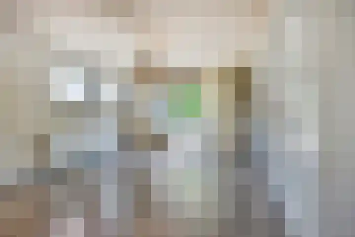 Dijk 18 Grevenbicht thumbnail 22