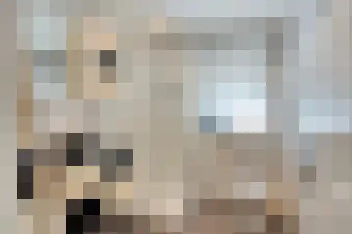 Dijk 18 Grevenbicht thumbnail 23