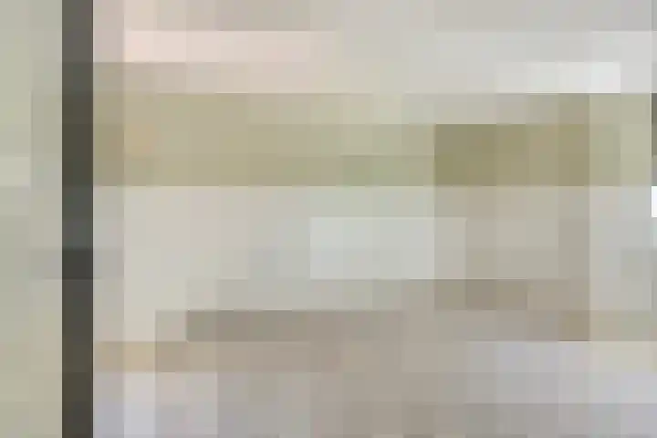 Dijk 18 Grevenbicht thumbnail 28