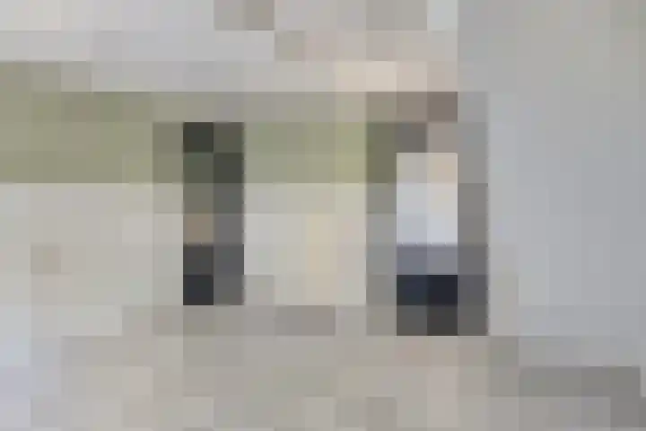 Dijk 18 Grevenbicht thumbnail 29