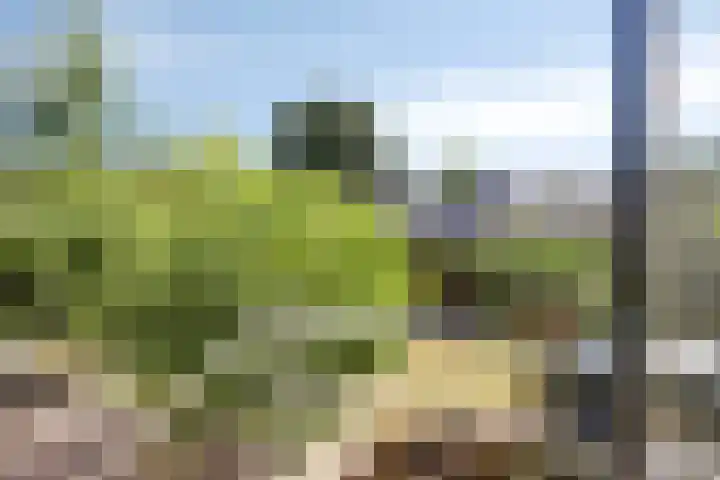 Dijk 18 Grevenbicht thumbnail 30