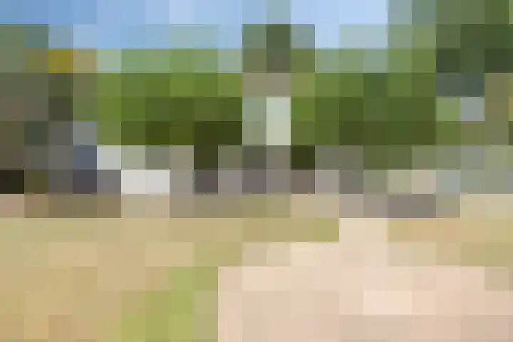 Dijk 18 Grevenbicht thumbnail 31