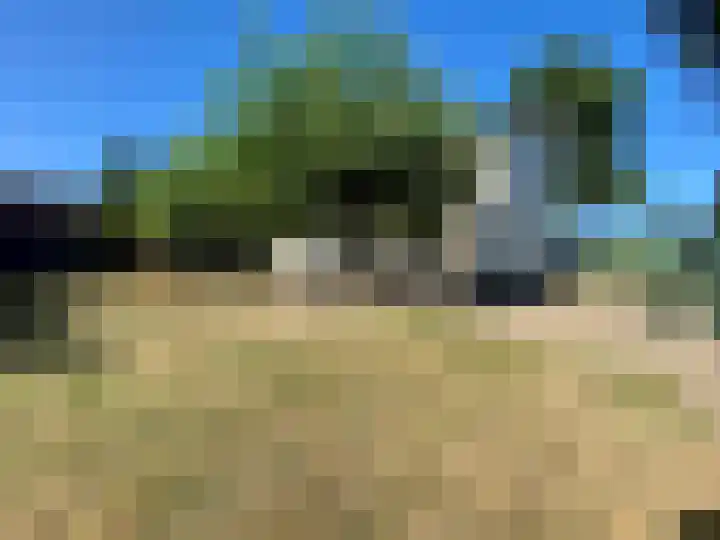 Dijk 18 Grevenbicht thumbnail 32
