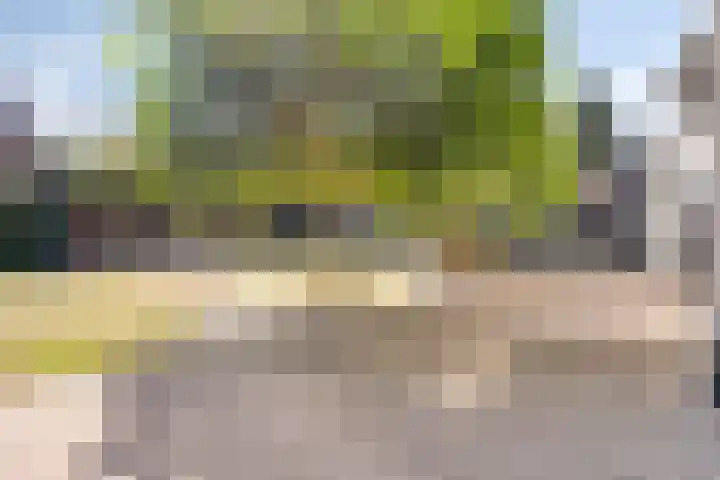 Dijk 18 Grevenbicht thumbnail 33