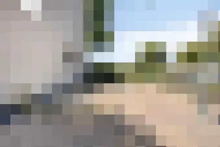 Dijk 18 Grevenbicht thumbnail 35