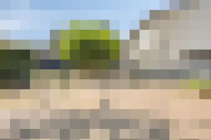 Dijk 18 Grevenbicht thumbnail 36