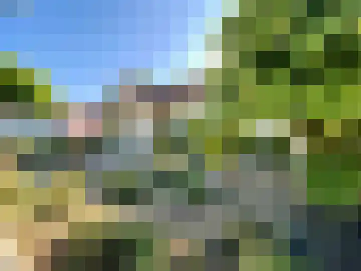 Dijk 18 Grevenbicht thumbnail 39