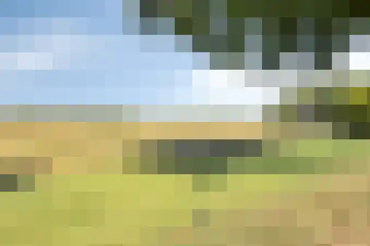 Dijk 18 Grevenbicht thumbnail 44