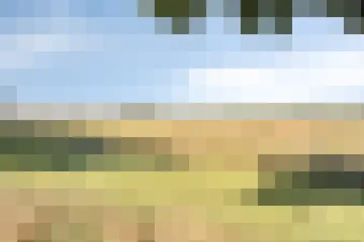 Dijk 18 Grevenbicht thumbnail 45