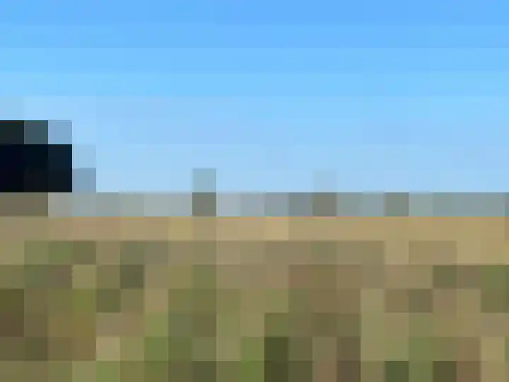 Dijk 18 Grevenbicht thumbnail 46
