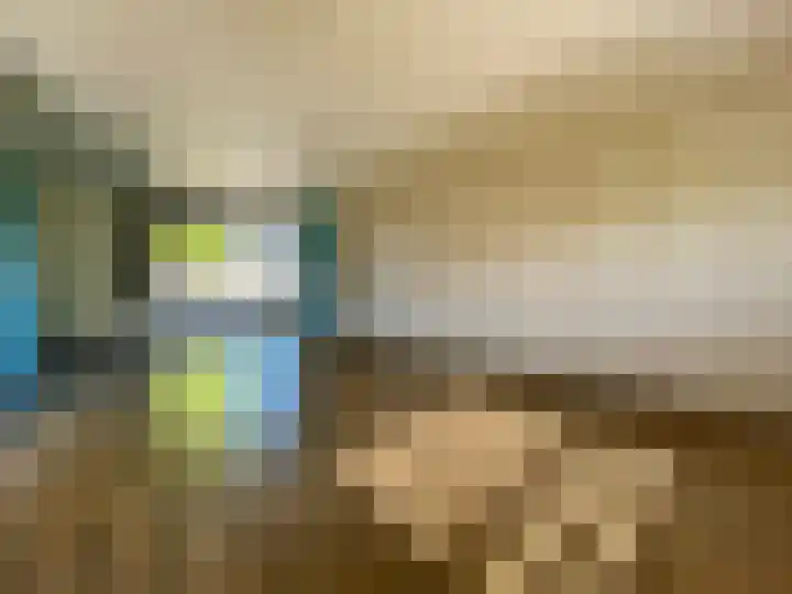 Dijk 18 Grevenbicht thumbnail 6