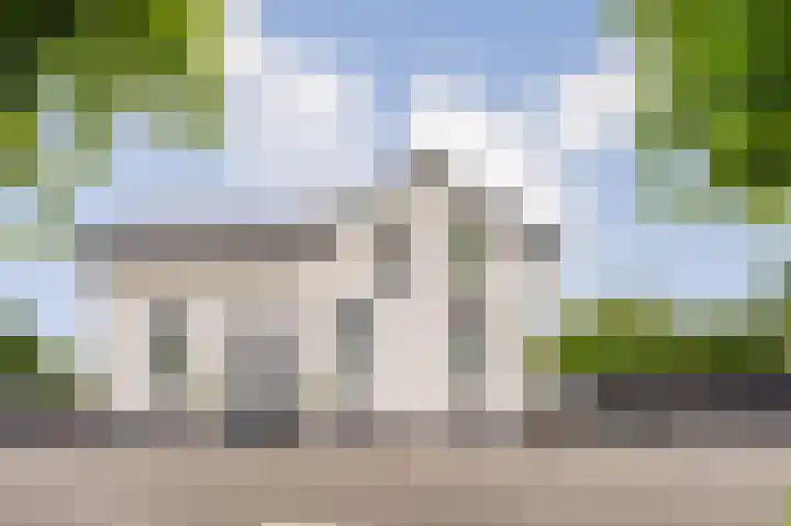 Dijk 2 Ohé en Laak
