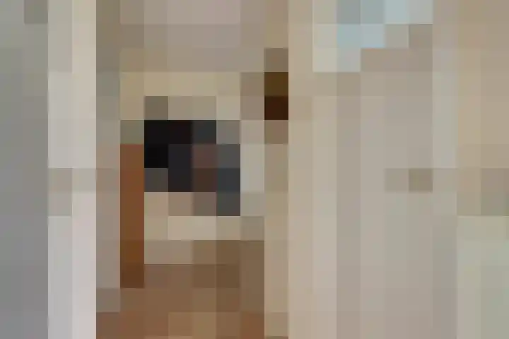 Dijk 21 Broek op Langedijk thumbnail 16