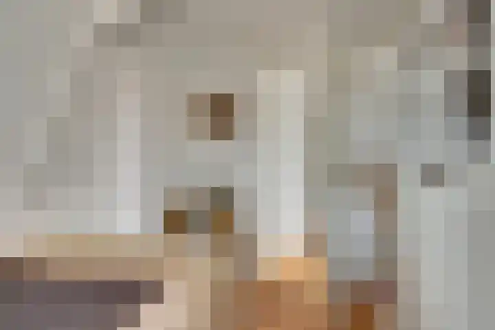 Dijk 21 Broek op Langedijk thumbnail 33
