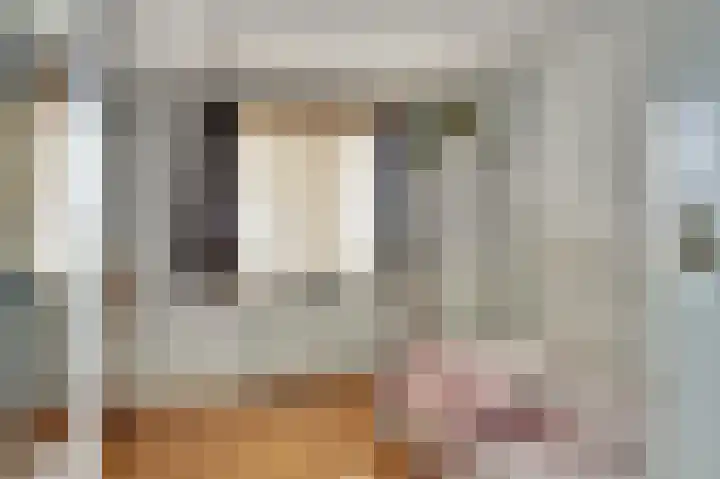 Dijk 21 Broek op Langedijk thumbnail 34