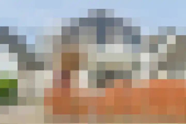 Dijk 21 Broek op Langedijk thumbnail 4