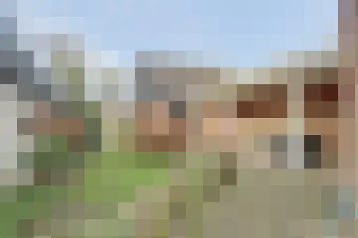 Dijk 21 Broek op Langedijk thumbnail 40