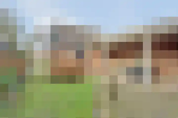 Dijk 21 Broek op Langedijk thumbnail 41