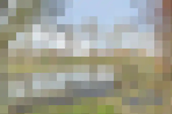 Dijk 21 Broek op Langedijk thumbnail 42