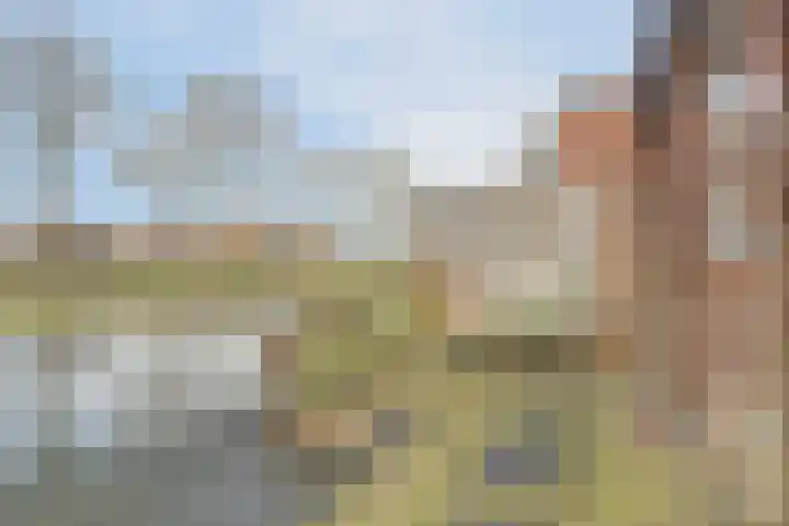 Dijk 21 Broek op Langedijk thumbnail 43