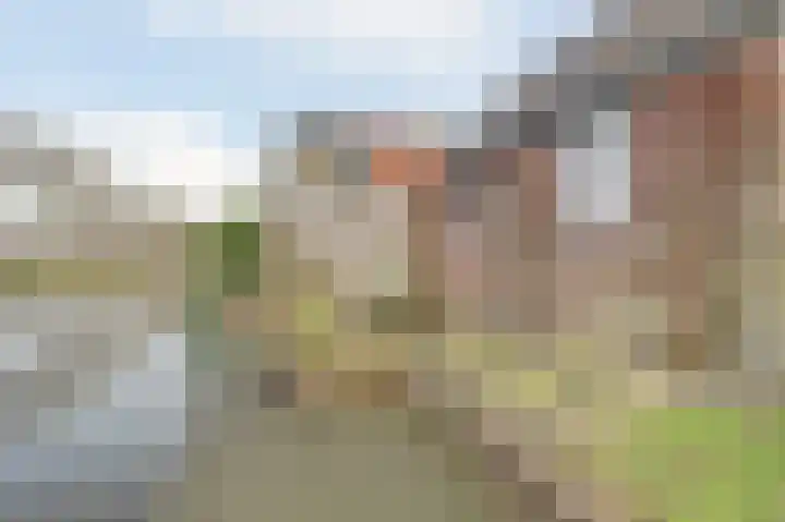 Dijk 21 Broek op Langedijk thumbnail 45