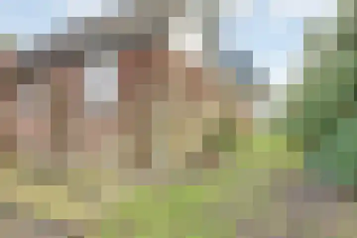 Dijk 21 Broek op Langedijk thumbnail 46