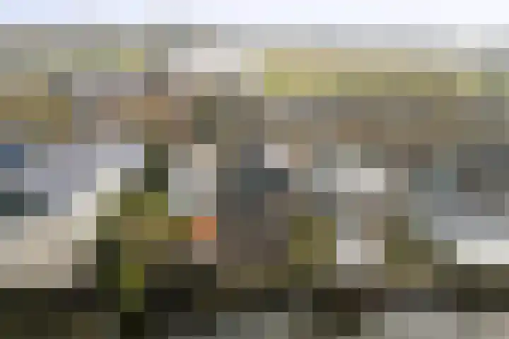 Dijk 21 Broek op Langedijk thumbnail 52