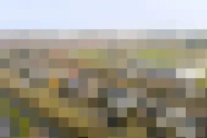 Dijk 21 Broek op Langedijk thumbnail 53