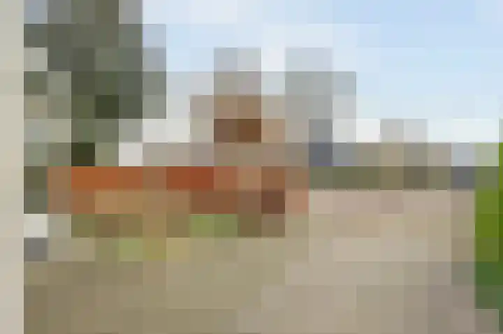 Dijk 21 Broek op Langedijk thumbnail 6