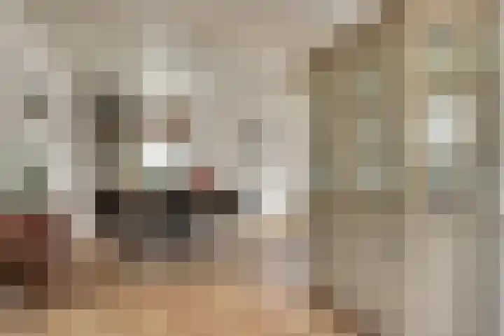 Dijk 21 Broek op Langedijk thumbnail 8