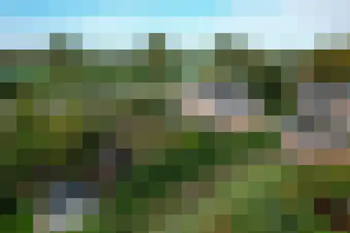 Dijk 45 Wijhe