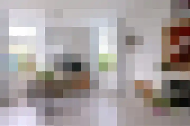 Dijk 45 Wijhe thumbnail 10