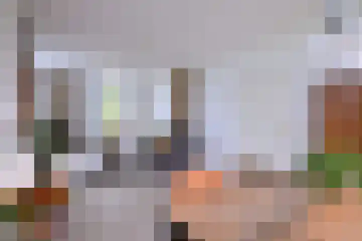 Dijk 45 Wijhe thumbnail 13