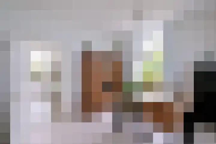 Dijk 45 Wijhe thumbnail 14