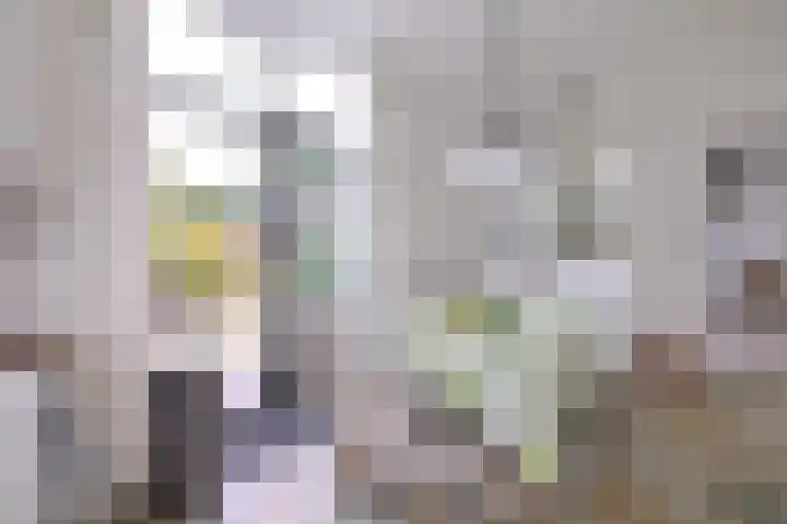 Dijk 45 Wijhe thumbnail 16