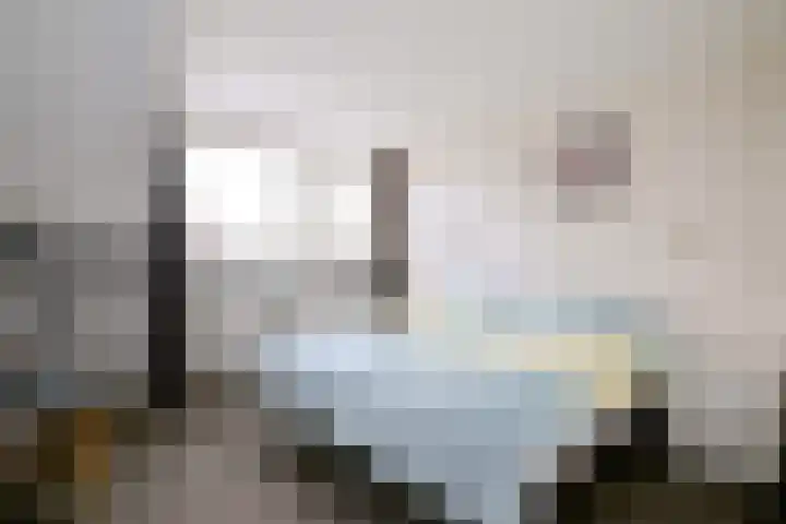 Dijk 45 Wijhe thumbnail 26