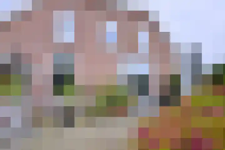 Dijk 45 Wijhe thumbnail 29