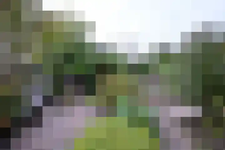 Dijk 45 Wijhe thumbnail 34