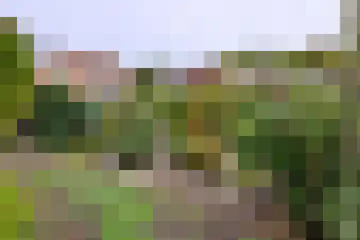 Dijk 45 Wijhe thumbnail 36
