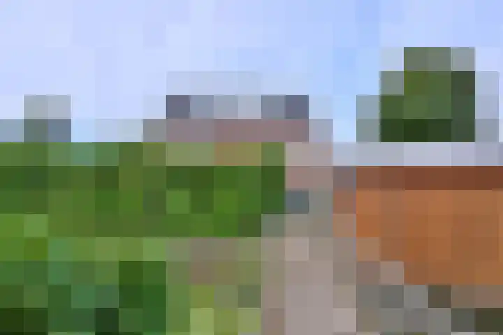 Dijk 45 Wijhe thumbnail 37