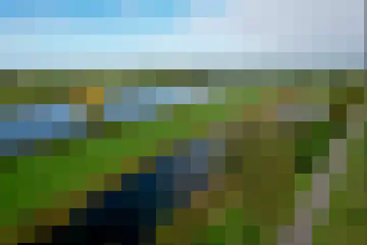 Dijk 45 Wijhe thumbnail 42