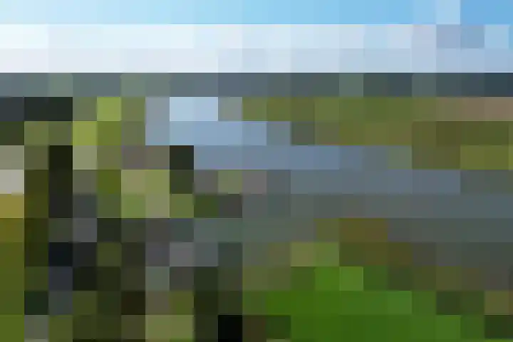 Dijk 45 Wijhe thumbnail 44