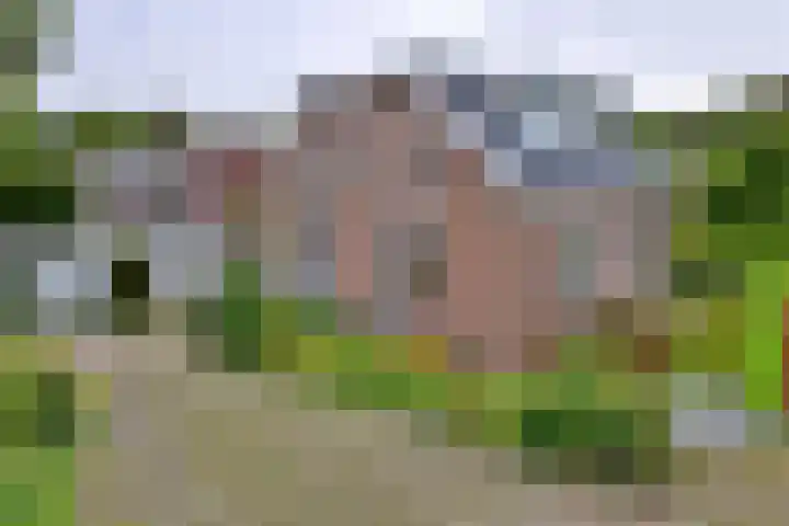 Dijk 45 Wijhe thumbnail 6