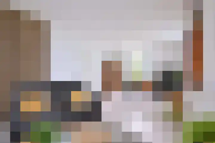 Dijk 45 Wijhe thumbnail 8