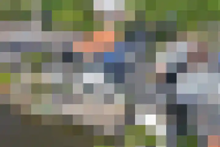 Dijk 9 Broek op Langedijk